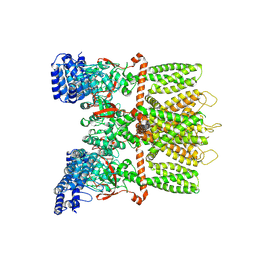 Molmil generated image of 6mhv