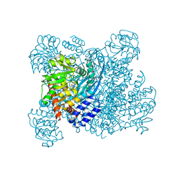 1bgv 概要 Pdbj Mine Pdb Explorer