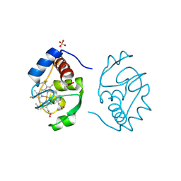 1crj 概要 Pdbj Mine Pdb Explorer