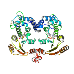 1isi 概要 Pdbj Mine Pdb Explorer