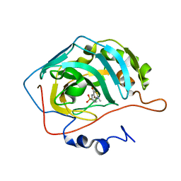 1kwr 概要 Pdbj Mine Pdb Explorer