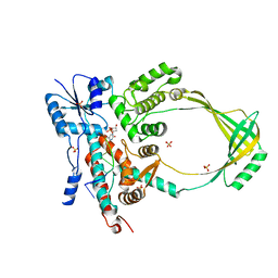 1mw8 概要 Pdbj Mine Pdb Explorer