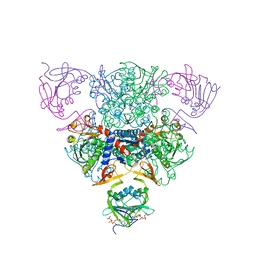 1rad 概要 Pdbj Mine Pdb Explorer