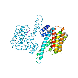 3p1o 概要 Pdbj Mine Pdb Explorer