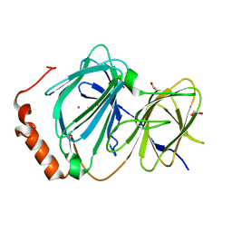 4ero 概要 Pdbj Mine Pdb Explorer