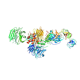 5hxb 概要 Pdbj Mine Pdb Explorer