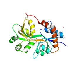 5nf6 概要 Pdbj Mine Pdb Explorer