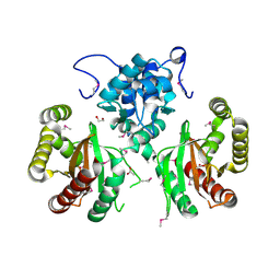 5whm 概要 Pdbj Mine Pdb Explorer