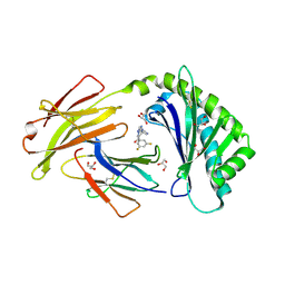 6c99 概要 Pdbj Mine Pdb Explorer