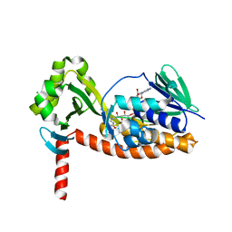 6n04 概要 Pdbj Mine Pdb Explorer