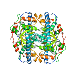 Molmil generated image of 1b06